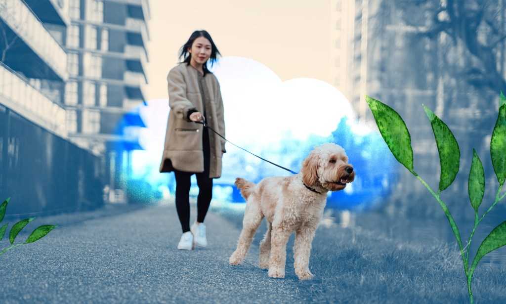 A woman is walking her dog in between two apartment buildings and there is a cartoon plant.