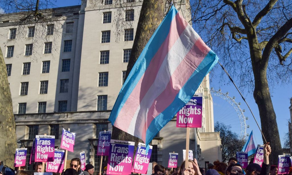 Activists wave a trans flag during protests.