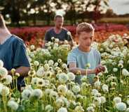 A still from the film Close shows four people standing in a field of dandelions