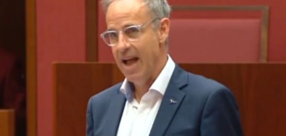 Greens senator Nick McKim speaking during a parliamentary meeting.