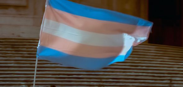 A person holds up a trans flag.