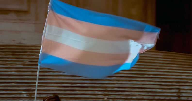 A person holds up a trans flag.