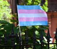 Trans Flag