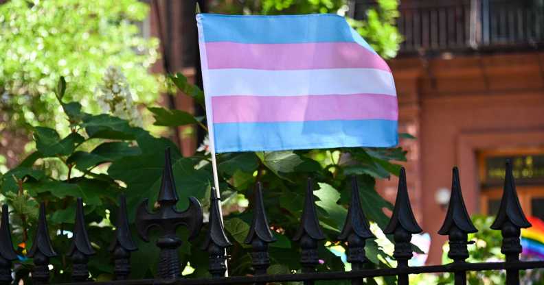 Trans Flag