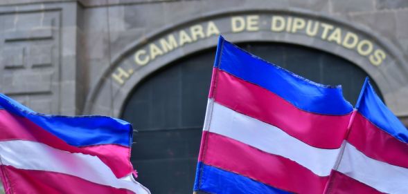 A set of trans flags waving around near the legislative branch of the State of Mexico.