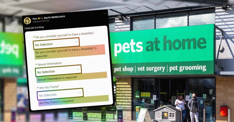 Pets At Home job application