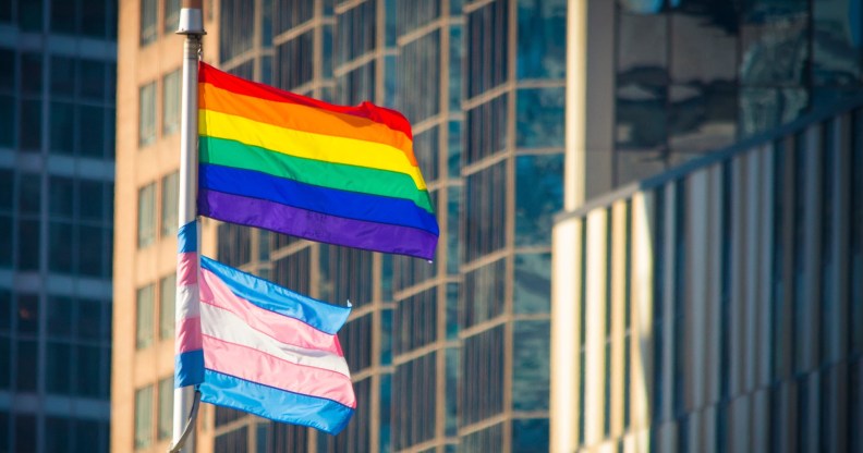 Rainbow and trans Pride flags