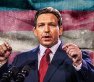 Ron DeSantis in front of a tranas flag