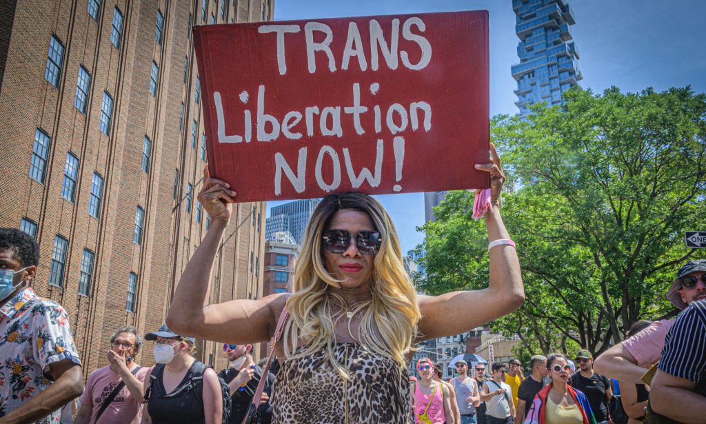 An individual at an LGBTQ+ Pride parade holds a sign of trans solidarity.