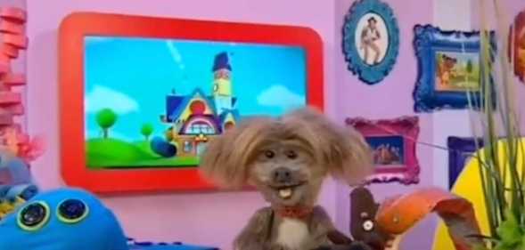 CBeebies' Dodge T Dog explained how some fish can go from being a boy fish to a girl fish in a segment that has triggered transphobia fury.