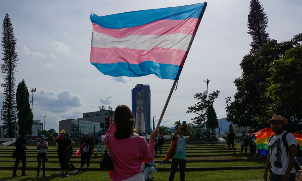 A person holding a trans flag in the sky.