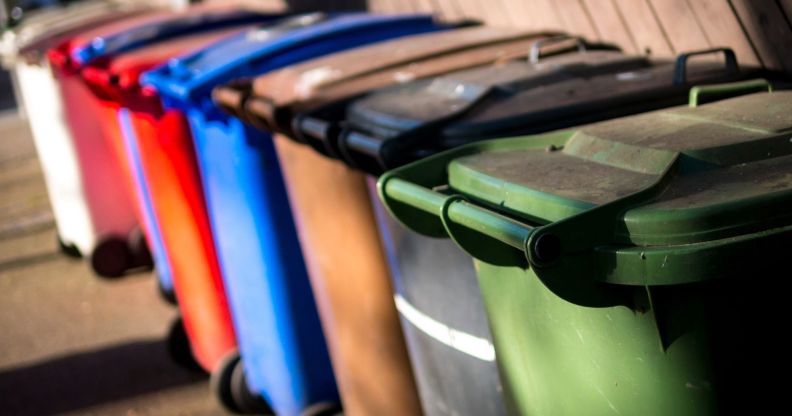 A set of UK wheelie bins, each a different colour, lined up against one another.