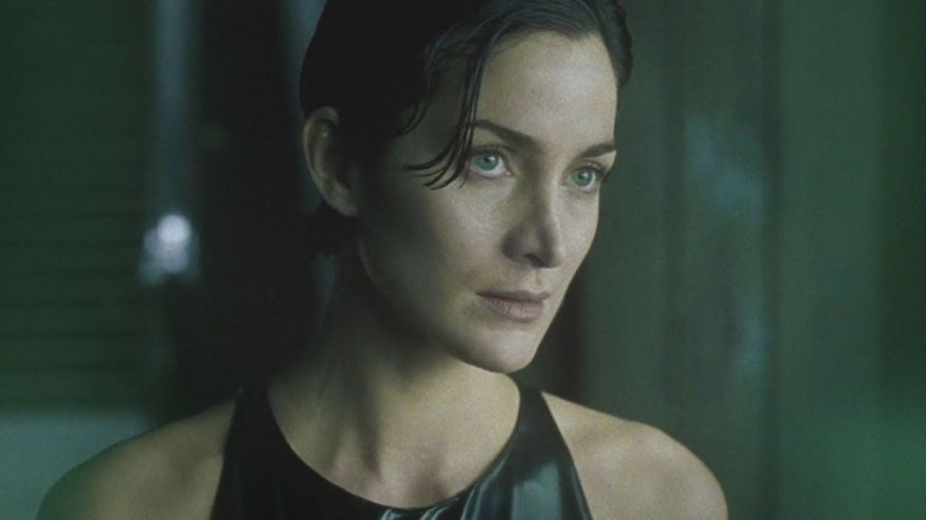 Carrie-Anne Moss as Trinity 