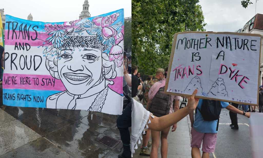 Placards from Trans+ Pride in London.