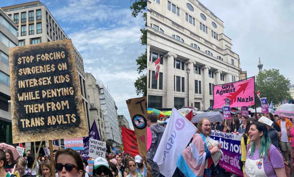 Placards from Trans+ Pride in London.