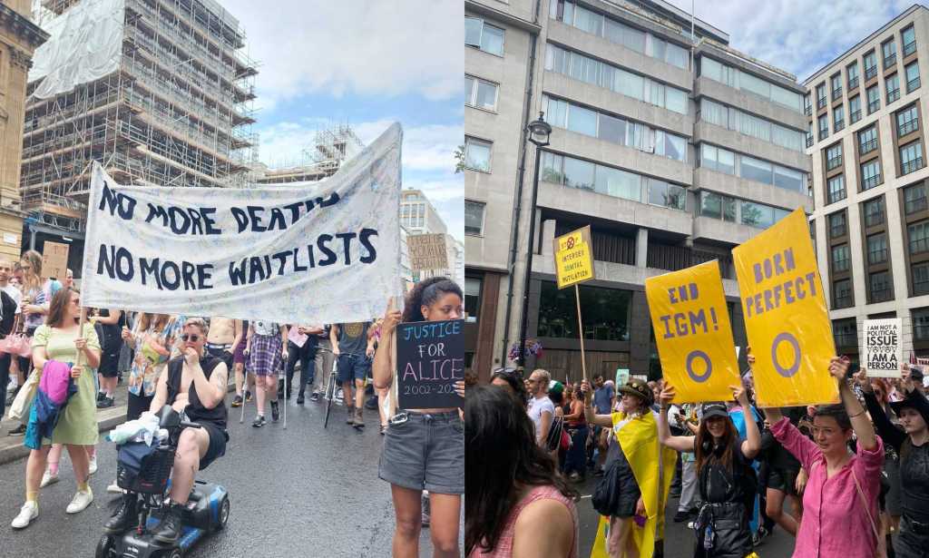 Placards from Trans+ Pride in London.