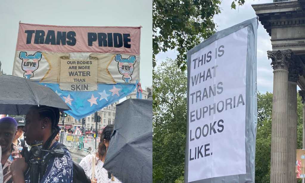 Placards from Trans+ Pride in London.