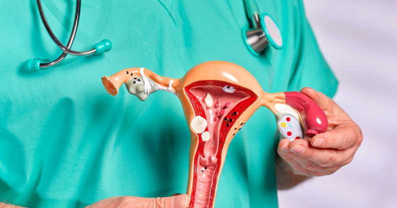 Gynecologist holding teaching tool model of women's uterus and ovary and discussing the common diseases associated with women's health. Dressed in green scrubs