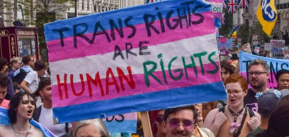 A person holds up a sign reading "trans rights are human rights" in a crowd of activists.