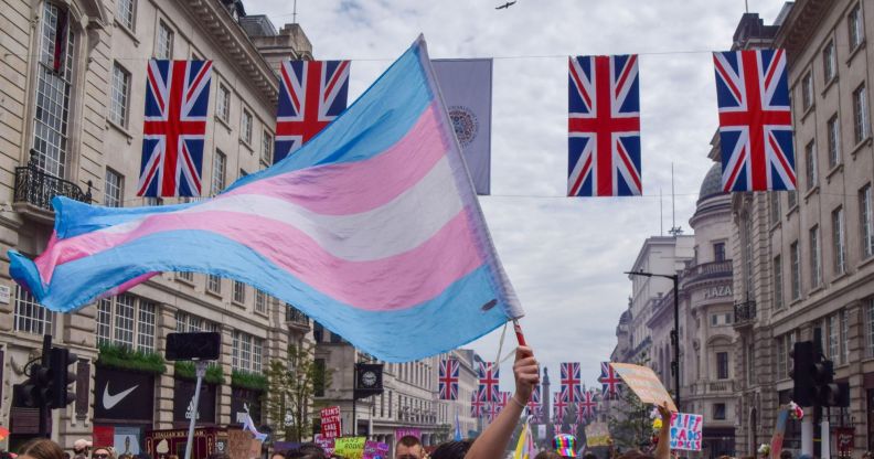 A trans activist wields a transgender flag at a Pride protest.