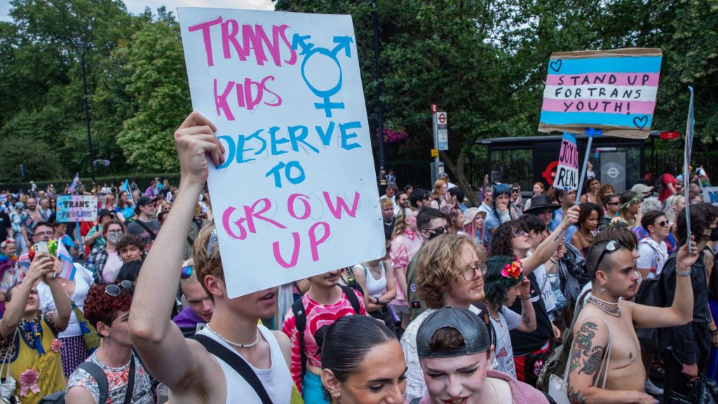 Protester holds up sign reading "trans kids deserve to grow up"