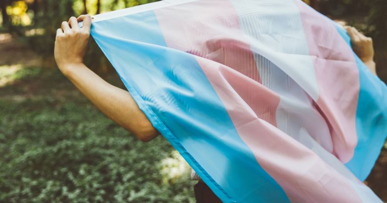 Stock image of a person holding a trans flag