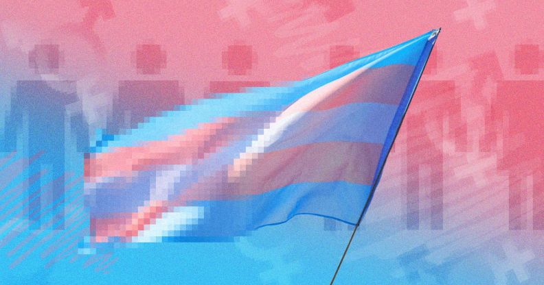 A partially pixelated transgender Pride flag edited into a graphic of trans identities.